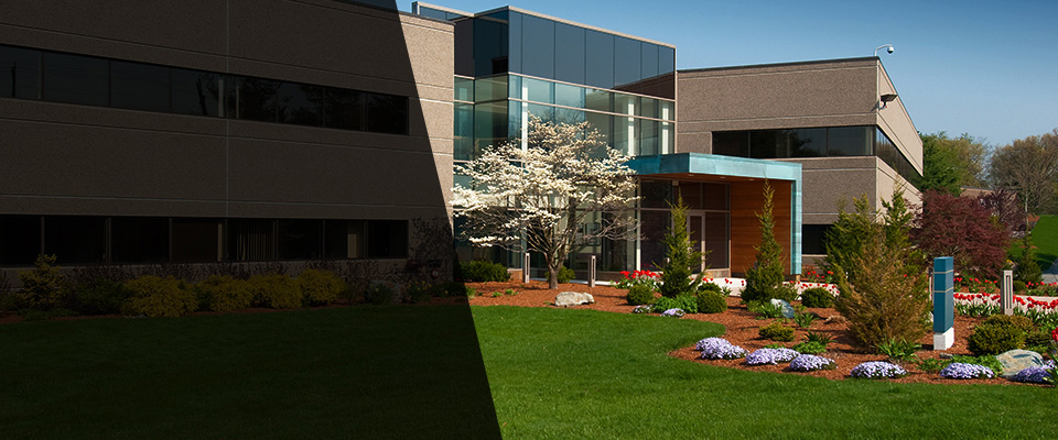 Nelson Landscapers