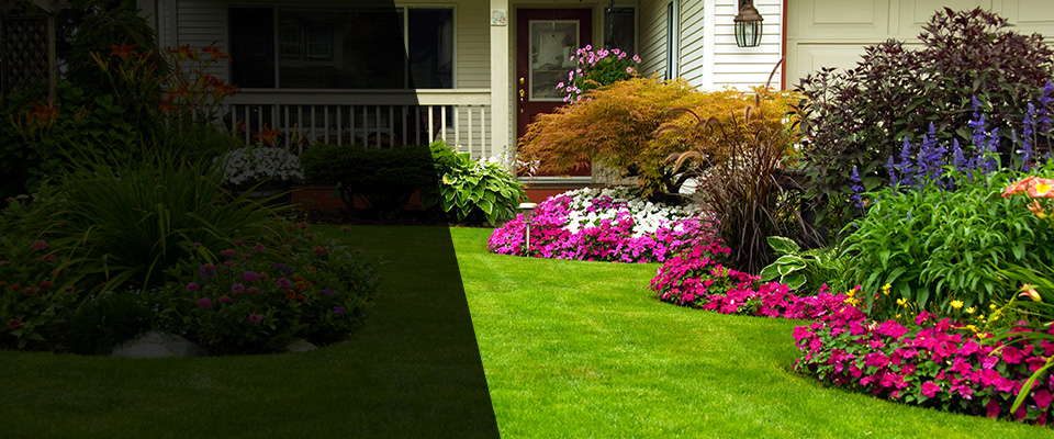 Nelson Landscapers