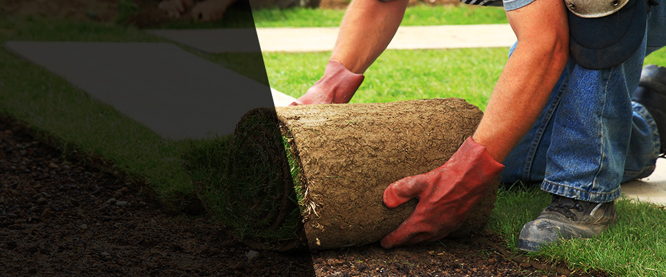 Nelson Landscapers